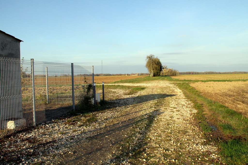 Chemin sans nom - 6187