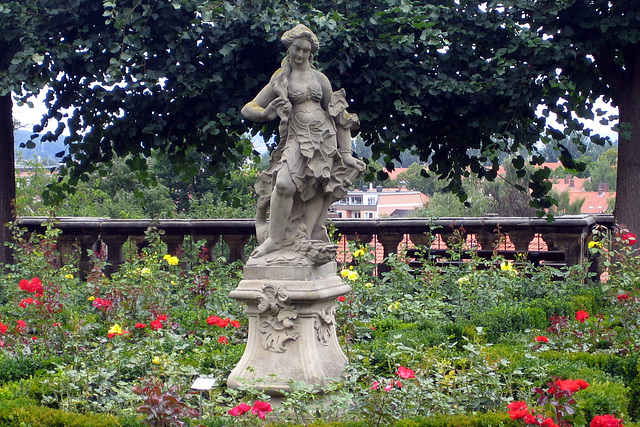 Rosengarten Schloss Bamberg