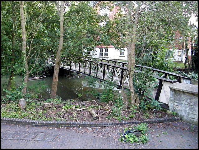 trees felled at Rewley footbridge