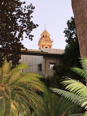 Valencia: Jardín botánico, 57