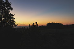 2025 365-261 2025 365-261