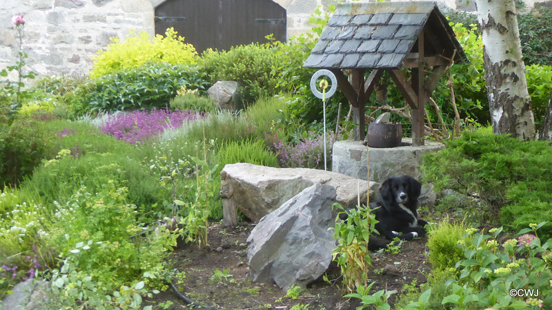Who gave you permission to lie in the flowerbed?