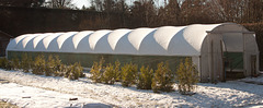 Frozen polytunnel