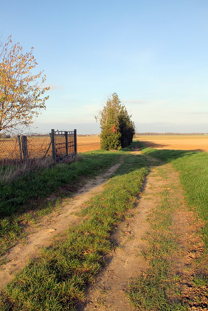 Chemin sans nom - 6186