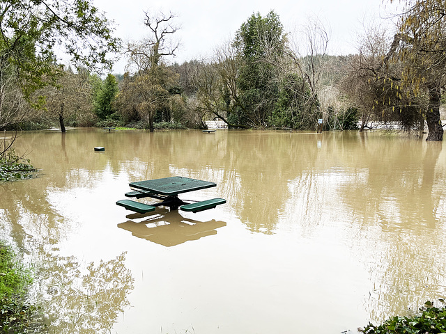 Bit wet for a picnic