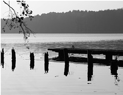 Steg am Müllroser See