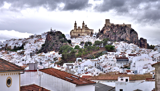 Olvera