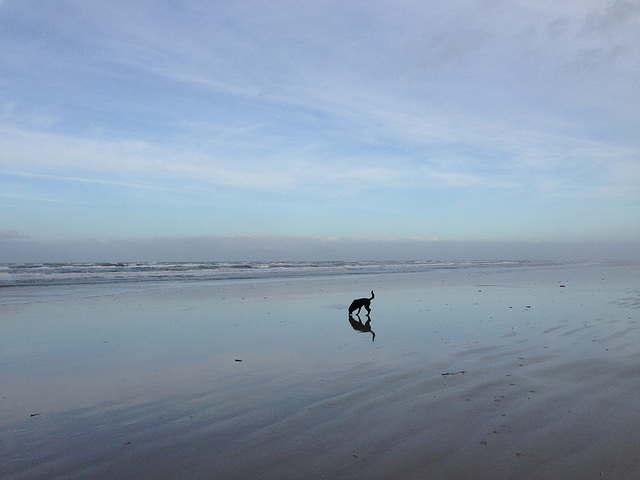 Vejers Strand -2