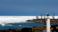 Spring on Lake Huron