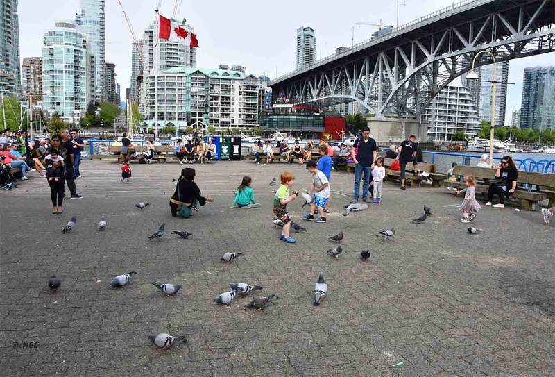 Der Zaun auf Granville Island