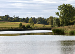 Landschaft am Weiher