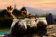 abends in der Quinta da Mouta (© Buelipix)