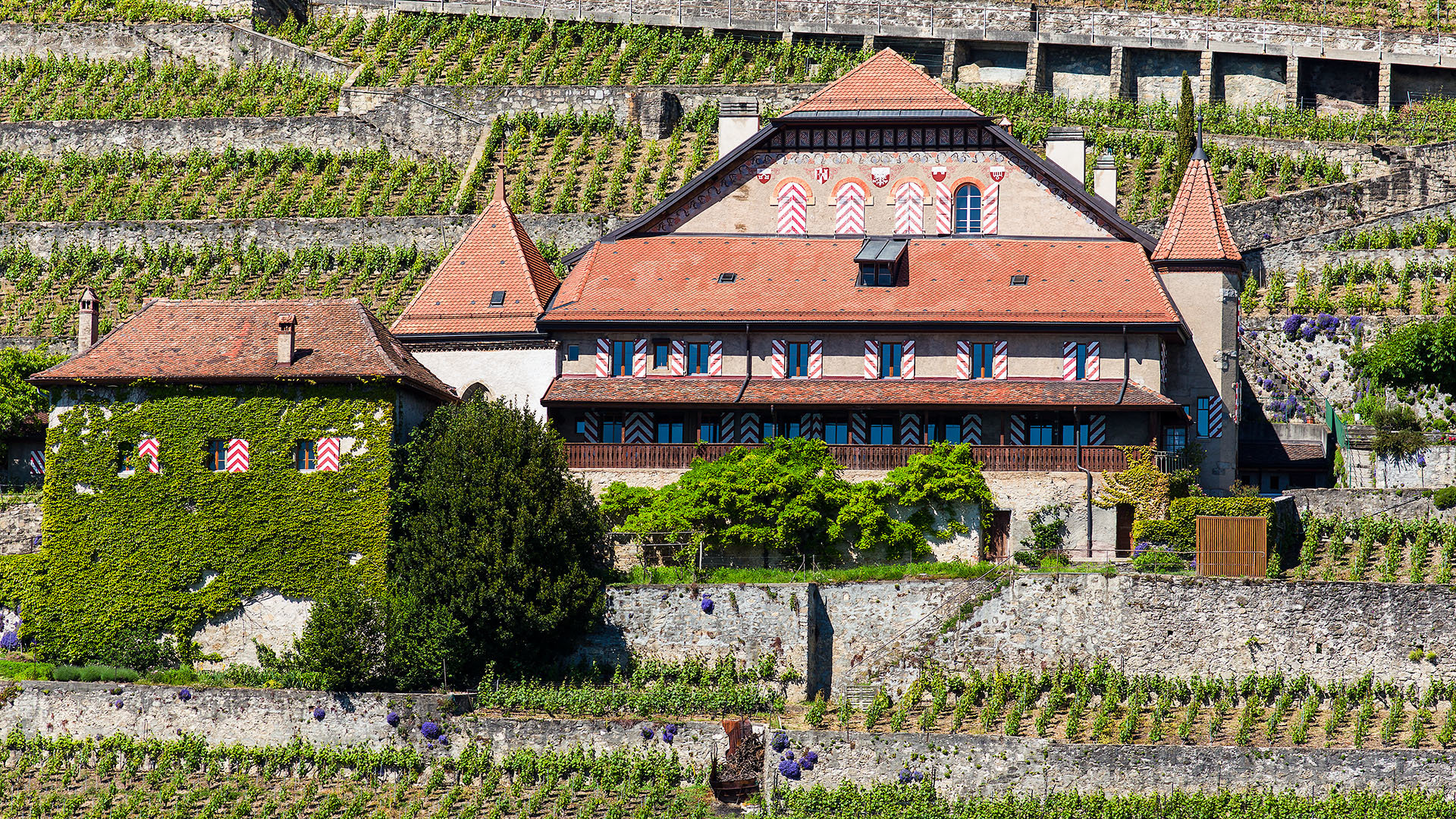 140524 Lavaux maison