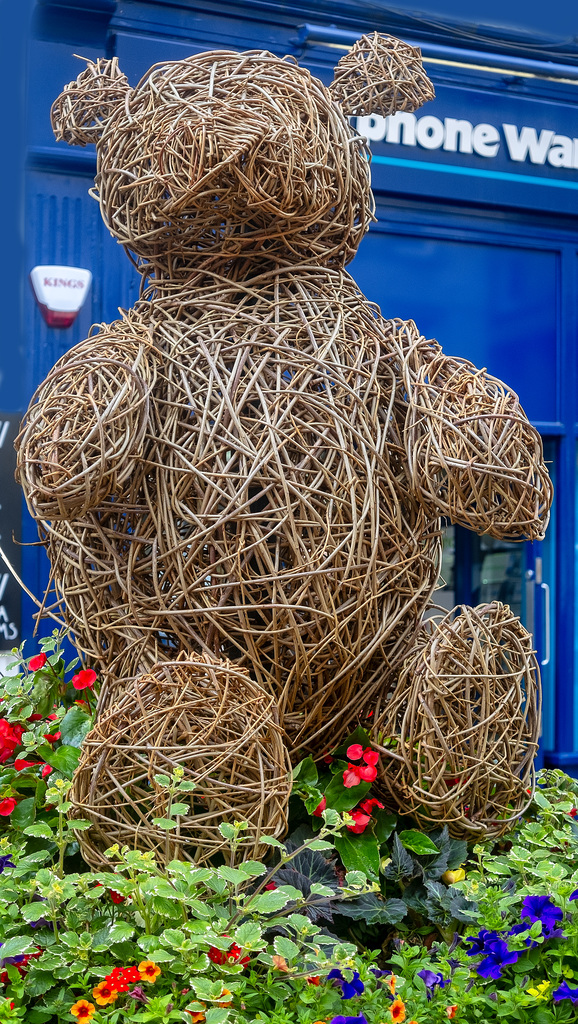 Wicker Teddy