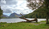 Buttermere