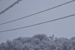 Snow coated cables