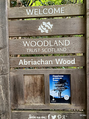 Abriachan, Loch Ness