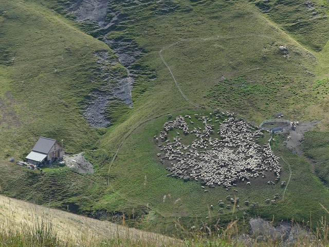 20240826 -0903 Valgaudemar (Ecrins) (155)