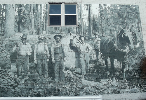 Logging
