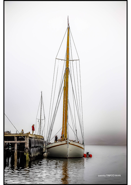 Landing in the fog