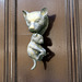 IMG 2905-001-Dog (?) Door Knocker