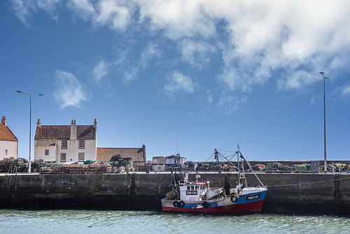 Pittenweem Harbour