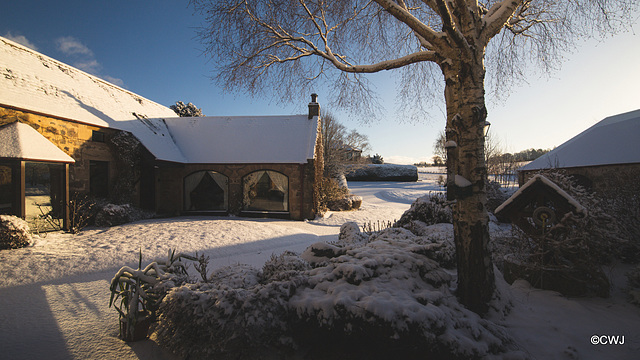 Overnight snowfall - at dawn