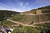 Assmannshausen - Seilbahnfahrt (03) - Schöner Blick zum Assmannshäuser Höllenberg