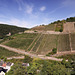 Assmannshausen - Seilbahnfahrt (03) - Schöner Blick zum Assmannshäuser Höllenberg