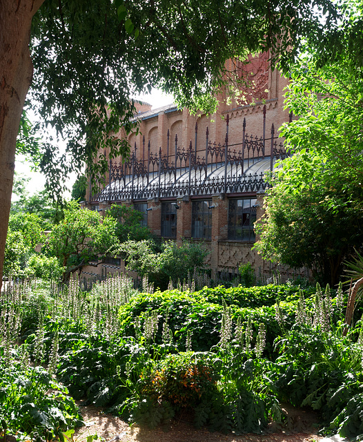 Garten in Toledo