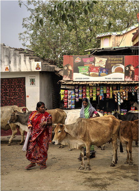 Baranagar,  India