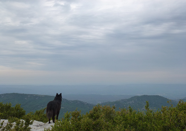 20150910 Fee Mt Baudille (6) rec al