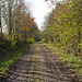 Herbstlicher Weg an der Sieber