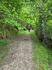 Abriachan, Loch Ness