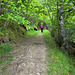 Abriachan, Loch Ness