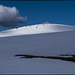 Primavera blava i blanca