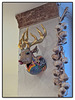 Jagdtrophäe  (◕‿-) Hunting trophy