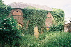 Derelict Stable, Wisbech, Cambridgeshire