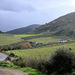 Andalusian Landscape