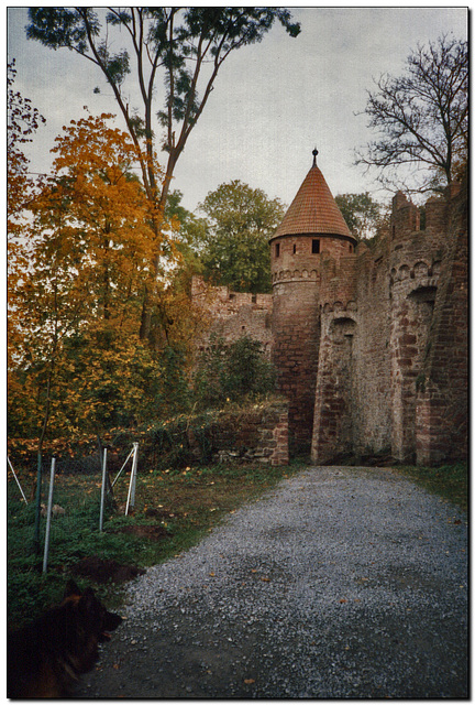 Burg Wertheim