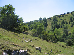Looking back along Dovedale from bank near Mildale