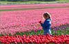 The little Girl and the Flower...