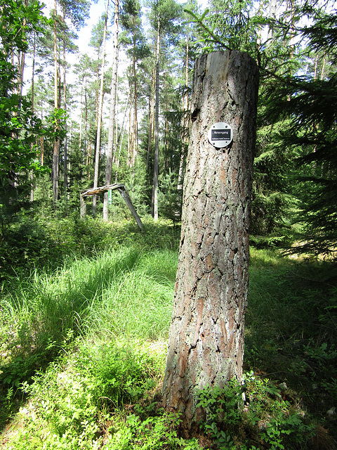 Notausgang im Kunstwaldgarten