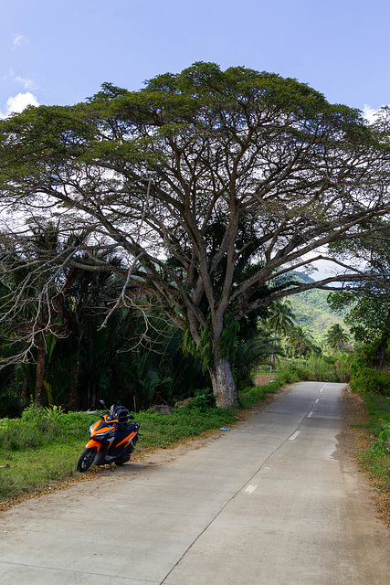 Philippinen20-6111