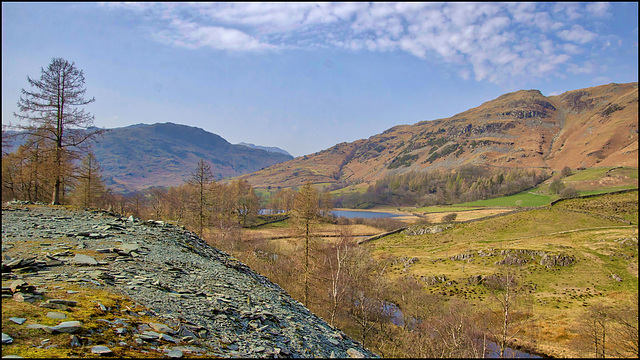 A Little Langdale View