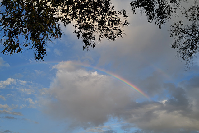 Penedos, Arcobaleno