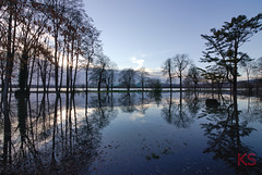 Rhein6