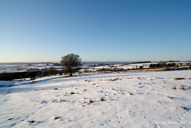 Stiperstones Snow