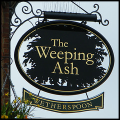 Weeping Ash pub sign