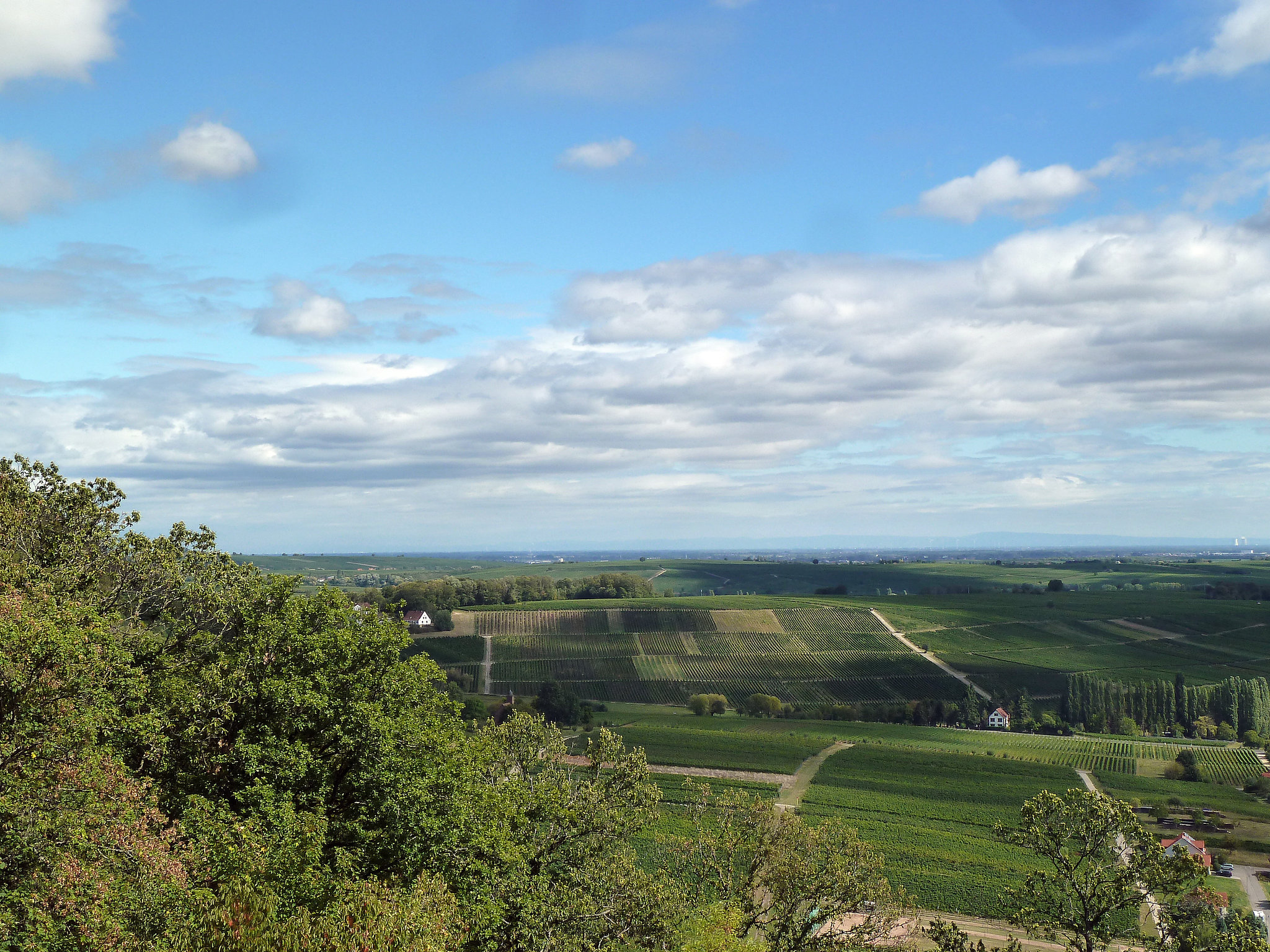 Blick über das Pfälzer Weinland von der Burg Landeck
